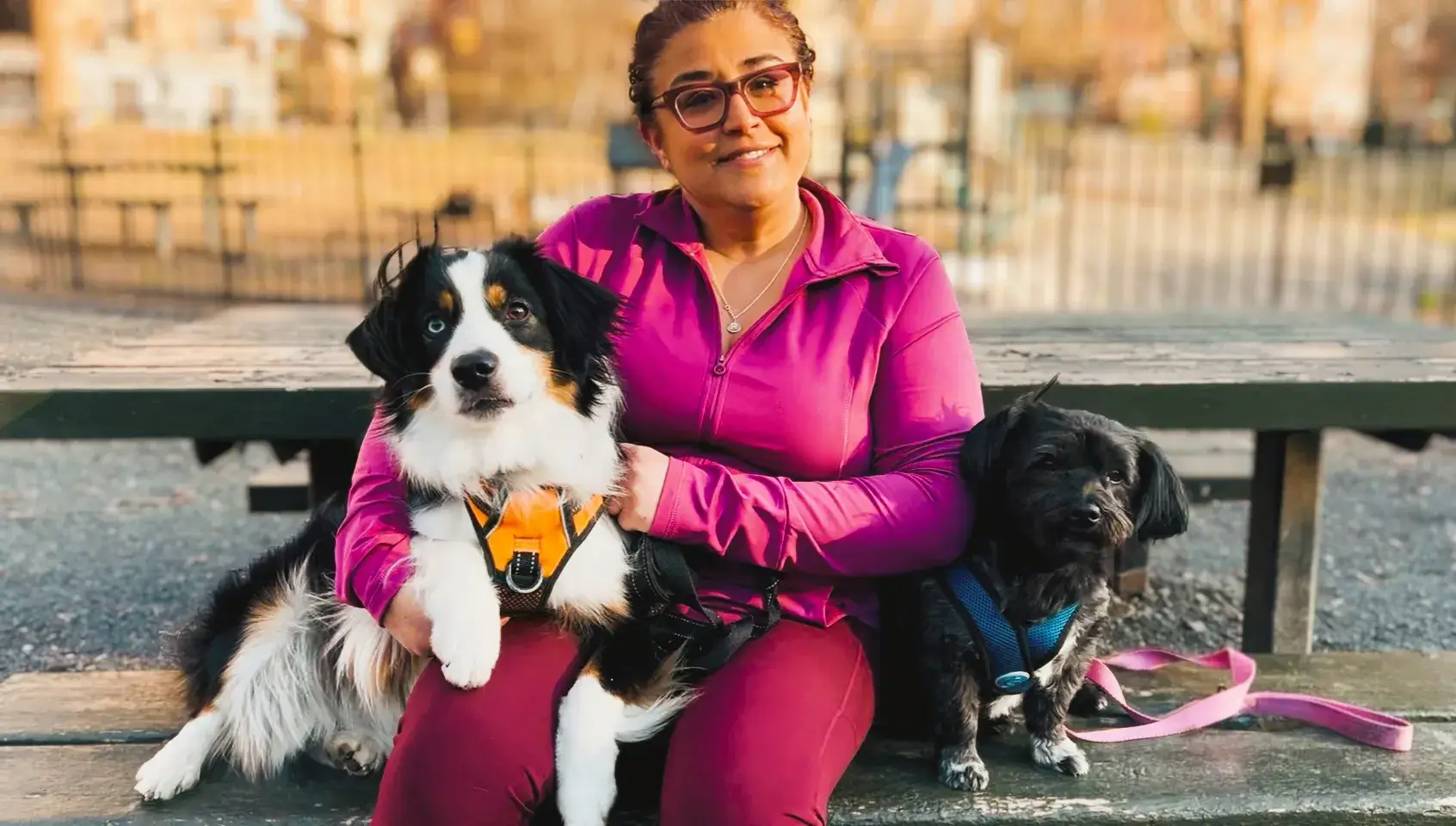 imgi_3_HHH_home_PIC_groupC Professional dog walker sitting on a bench with two dogs.