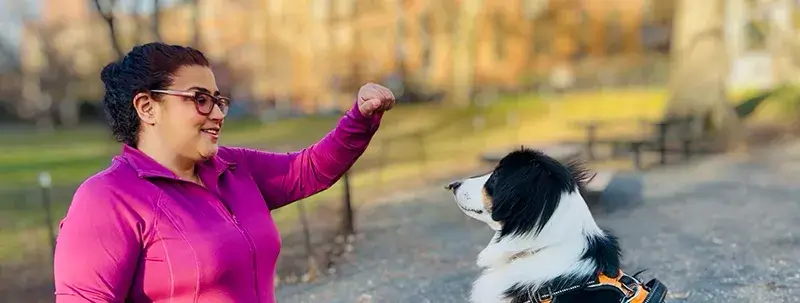 imgi_3_HHH_train_800 Professional Dog trainer training a dog outside.